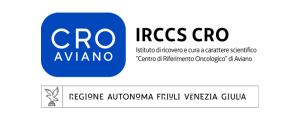 Croatian partner logo